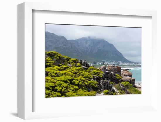 South Africa, Garden Route, Hermanus-Catharina Lux-Framed Photographic Print