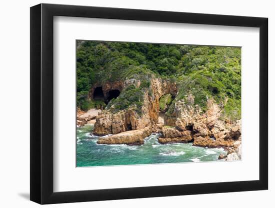 South Africa, Garden Route, Knysna, Footpath-Catharina Lux-Framed Photographic Print