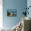 South Africa, Garden Route, Knysna-Catharina Lux-Framed Premier Image Canvas displayed on a wall