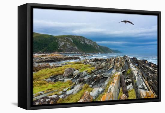 South Africa, Garden Route, Storms River Mouth-Catharina Lux-Framed Premier Image Canvas