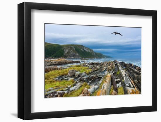 South Africa, Garden Route, Storms River Mouth-Catharina Lux-Framed Photographic Print