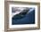 South Africa, Great White Shark with its Mouth Open-Stuart Westmorland-Framed Photographic Print