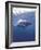 South Africa Great White Shark-Michele Westmorland-Framed Photographic Print