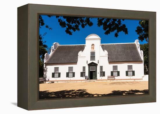 South Africa, Groot Constantia, Vineyard-Catharina Lux-Framed Premier Image Canvas