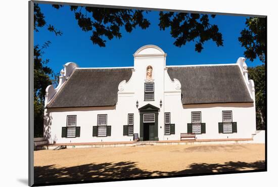 South Africa, Groot Constantia, Vineyard-Catharina Lux-Mounted Photographic Print