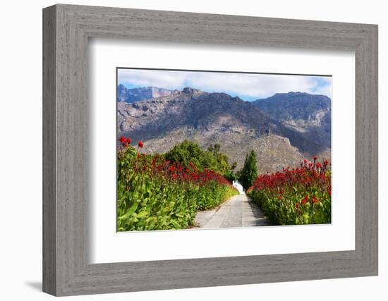 South Africa, Hex River Valley-Catharina Lux-Framed Photographic Print