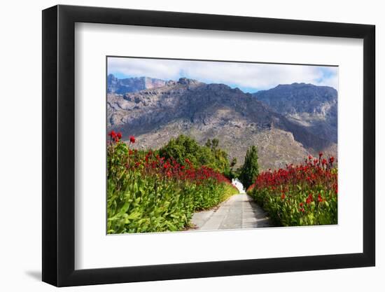 South Africa, Hex River Valley-Catharina Lux-Framed Photographic Print