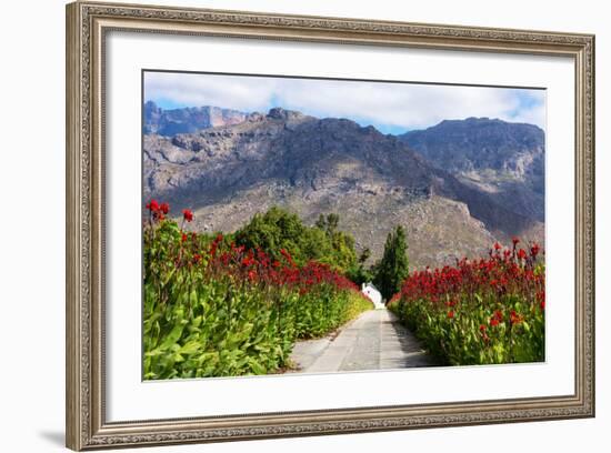 South Africa, Hex River Valley-Catharina Lux-Framed Photographic Print