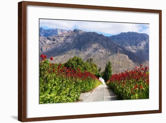 South Africa, Hex River Valley-Catharina Lux-Framed Photographic Print