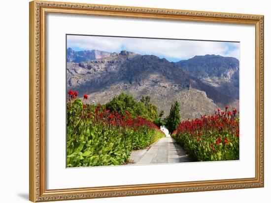 South Africa, Hex River Valley-Catharina Lux-Framed Photographic Print