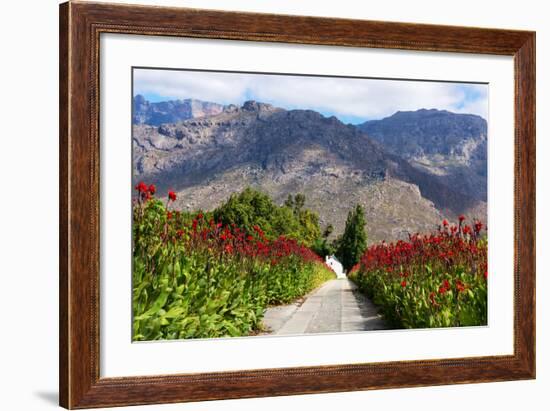 South Africa, Hex River Valley-Catharina Lux-Framed Photographic Print