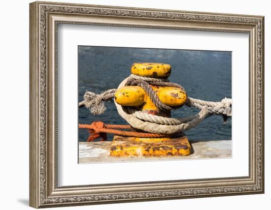 South Africa, Houtbay, Harbour, Bollard with Ropes-Catharina Lux-Framed Photographic Print