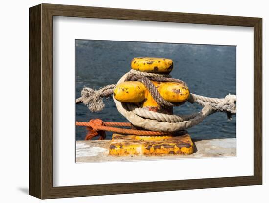 South Africa, Houtbay, Harbour, Bollard with Ropes-Catharina Lux-Framed Photographic Print