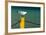 South Africa, Houtbay, Harbour, Gull-Catharina Lux-Framed Photographic Print