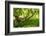 South Africa, 'Kirstenbosch', Camphorwood-Catharina Lux-Framed Photographic Print