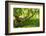 South Africa, 'Kirstenbosch', Camphorwood-Catharina Lux-Framed Photographic Print