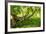 South Africa, 'Kirstenbosch', Camphorwood-Catharina Lux-Framed Photographic Print