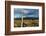 South Africa, Oudtshoorn (Town), Ostrich-Catharina Lux-Framed Photographic Print