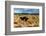 South Africa, Oudtshoorn (Town), Ostrich-Catharina Lux-Framed Photographic Print