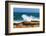 South Africa, the Cape of Good Hope, Foam-Catharina Lux-Framed Photographic Print