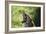 South African Leopard 009-Bob Langrish-Framed Photographic Print