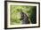 South African Leopard 009-Bob Langrish-Framed Photographic Print