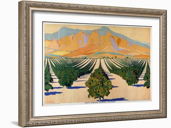 South African Orange Orchards, from the Series 'Summer's Oranges from South Africa'-Guy Kortright-Framed Giclee Print