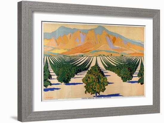 South African Orange Orchards, from the Series 'Summer's Oranges from South Africa'-Guy Kortright-Framed Giclee Print