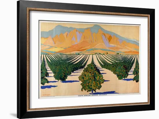 South African Orange Orchards, from the Series 'Summer's Oranges from South Africa'-Guy Kortright-Framed Giclee Print