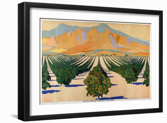 South African Orange Orchards, from the Series 'Summer's Oranges from South Africa'-Guy Kortright-Framed Giclee Print