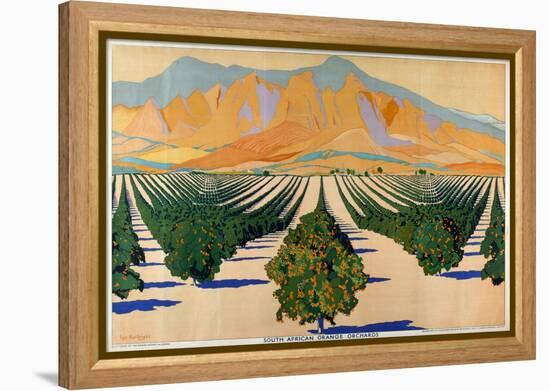 South African Orange Orchards, from the Series 'Summer's Oranges from South Africa'-Guy Kortright-Framed Premier Image Canvas