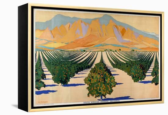 South African Orange Orchards, from the Series 'Summer's Oranges from South Africa'-Guy Kortright-Framed Premier Image Canvas