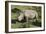 South African White Rhinoceros 022-Bob Langrish-Framed Photographic Print