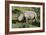 South African White Rhinoceros 022-Bob Langrish-Framed Photographic Print