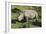 South African White Rhinoceros 022-Bob Langrish-Framed Photographic Print