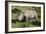 South African White Rhinoceros 022-Bob Langrish-Framed Photographic Print