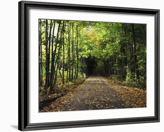 South Albany, View of Country Road, Northeast Kingdom, Vermont, USA-Walter Bibikow-Framed Photographic Print