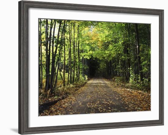 South Albany, View of Country Road, Northeast Kingdom, Vermont, USA-Walter Bibikow-Framed Photographic Print