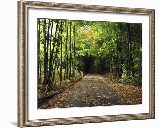 South Albany, View of Country Road, Northeast Kingdom, Vermont, USA-Walter Bibikow-Framed Photographic Print