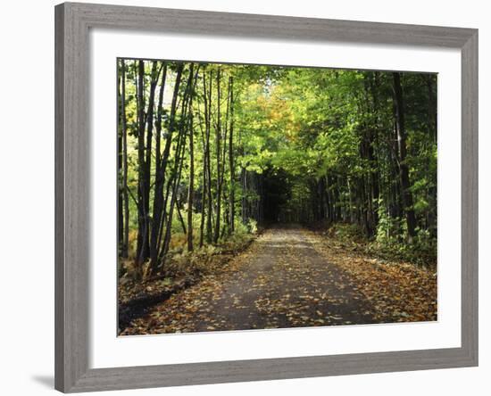 South Albany, View of Country Road, Northeast Kingdom, Vermont, USA-Walter Bibikow-Framed Photographic Print