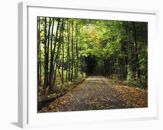 South Albany, View of Country Road, Northeast Kingdom, Vermont, USA-Walter Bibikow-Framed Photographic Print