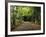 South Albany, View of Country Road, Northeast Kingdom, Vermont, USA-Walter Bibikow-Framed Photographic Print