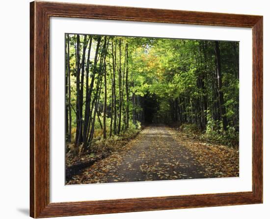 South Albany, View of Country Road, Northeast Kingdom, Vermont, USA-Walter Bibikow-Framed Photographic Print