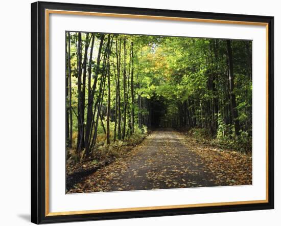 South Albany, View of Country Road, Northeast Kingdom, Vermont, USA-Walter Bibikow-Framed Photographic Print