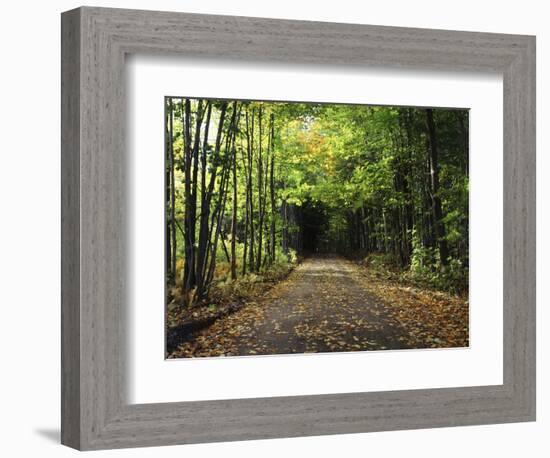 South Albany, View of Country Road, Northeast Kingdom, Vermont, USA-Walter Bibikow-Framed Photographic Print