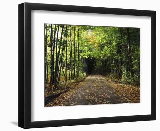 South Albany, View of Country Road, Northeast Kingdom, Vermont, USA-Walter Bibikow-Framed Photographic Print