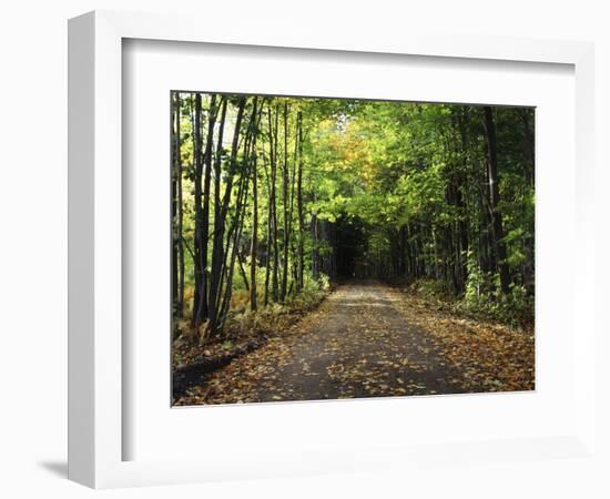 South Albany, View of Country Road, Northeast Kingdom, Vermont, USA-Walter Bibikow-Framed Photographic Print