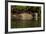 South America, Brazil, Pantanal Wetlands, Jaguar Preparing to Cross the Three Brothers River-Judith Zimmerman-Framed Photographic Print