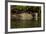 South America, Brazil, Pantanal Wetlands, Jaguar Preparing to Cross the Three Brothers River-Judith Zimmerman-Framed Photographic Print