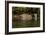 South America, Brazil, Pantanal Wetlands, Jaguar Preparing to Cross the Three Brothers River-Judith Zimmerman-Framed Photographic Print